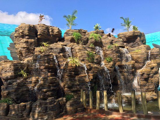 Planet Earth Aquarium